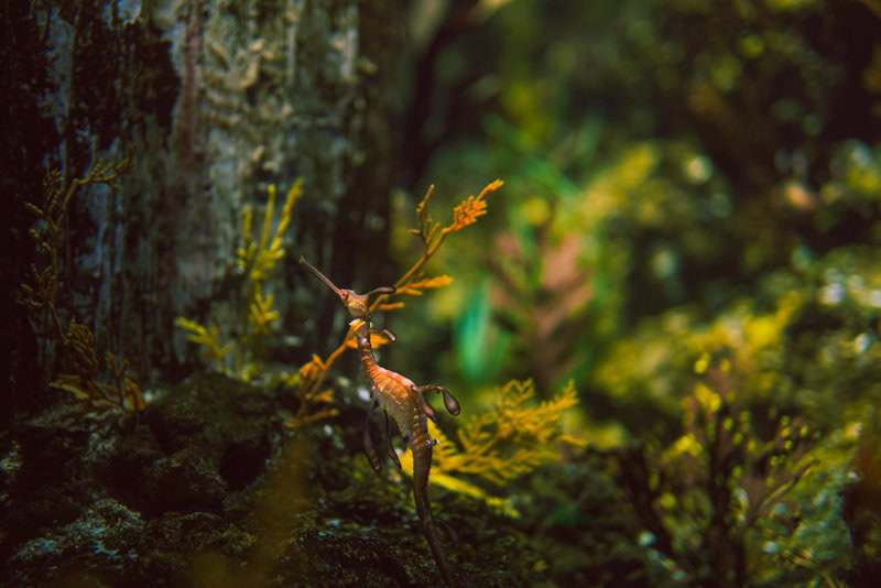 Science Facts That Sound Fake but Are 100% True