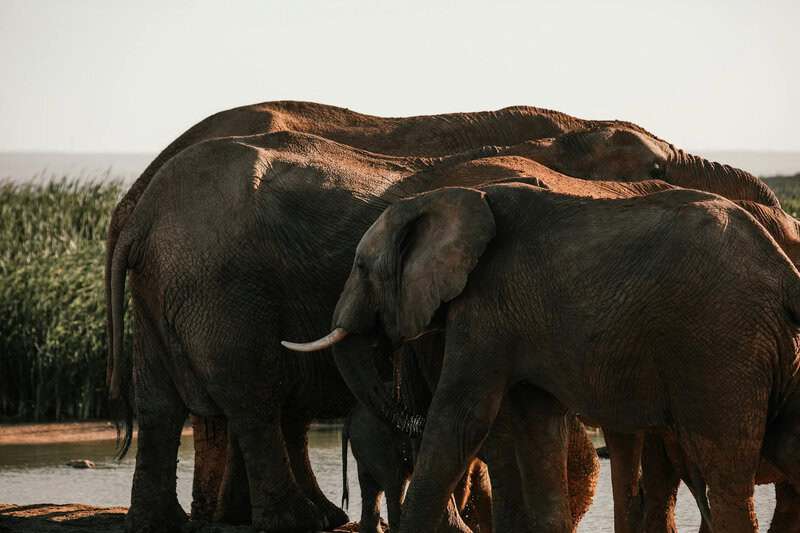 Science Experiments That Went Shockingly Wrong