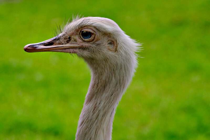 Science Myths People Still Believe in 2026