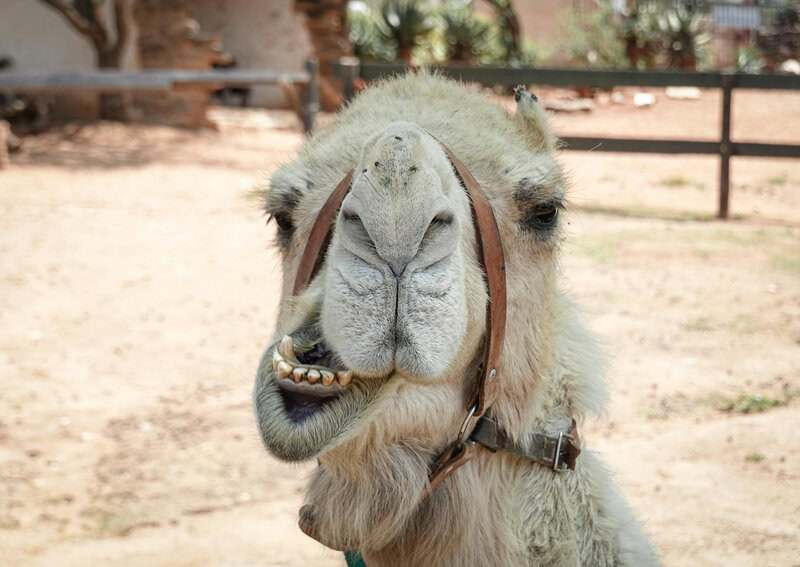 Science Myths People Still Believe in 2026