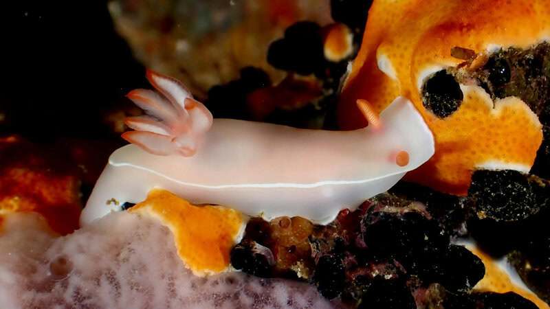 Science Myths People Still Believe in 2026