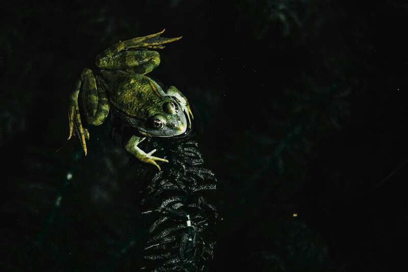 Science Myths People Still Believe in 2026