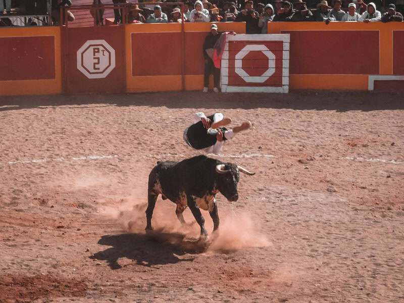 Science Myths People Still Believe in 2026