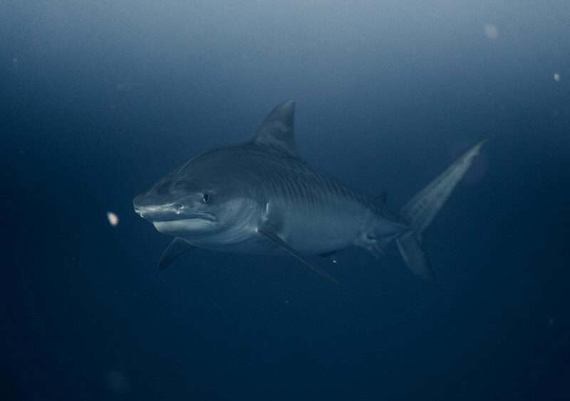 Science Myths People Still Believe in 2026