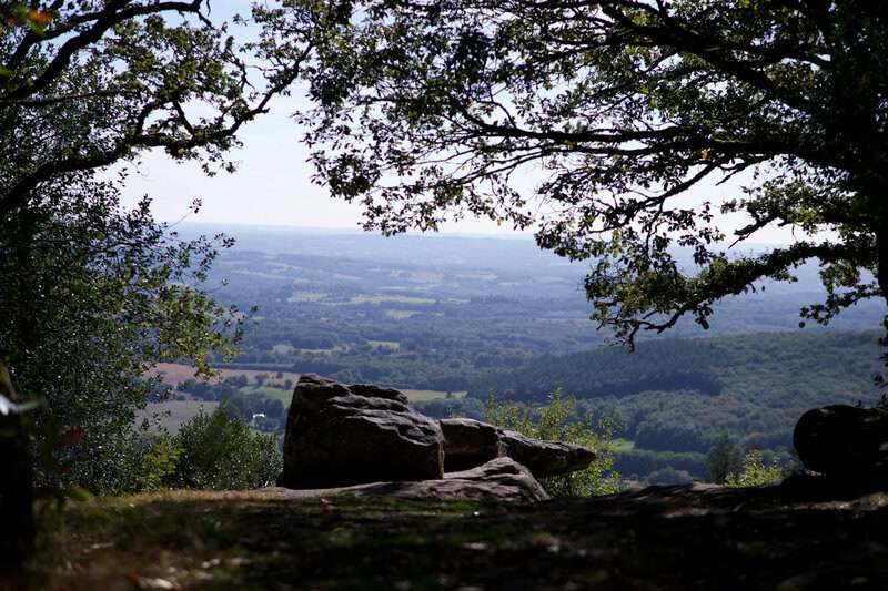 Science Myths People Still Believe in 2026