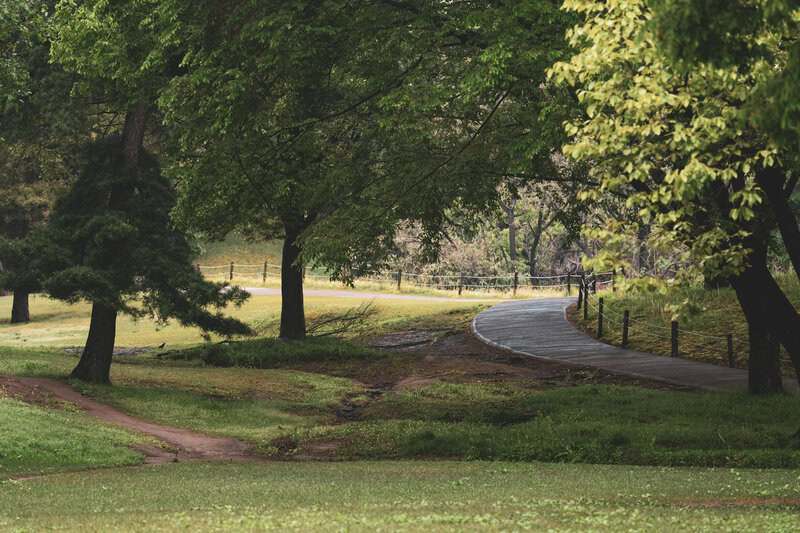 Plants With Surprisingly Aggressive Survival Strategies