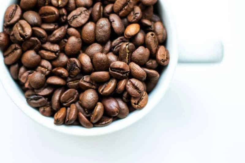 Plants That Can Move on Their Own