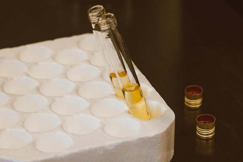 Times Scientists Accidentally Made Major Discoveries