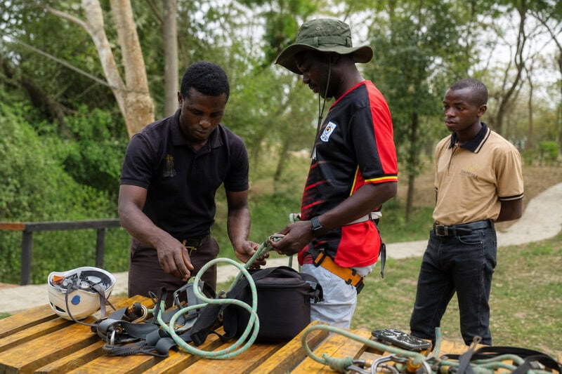 8 Conservation Strategies That Actually Work for Africa’s Wildlife