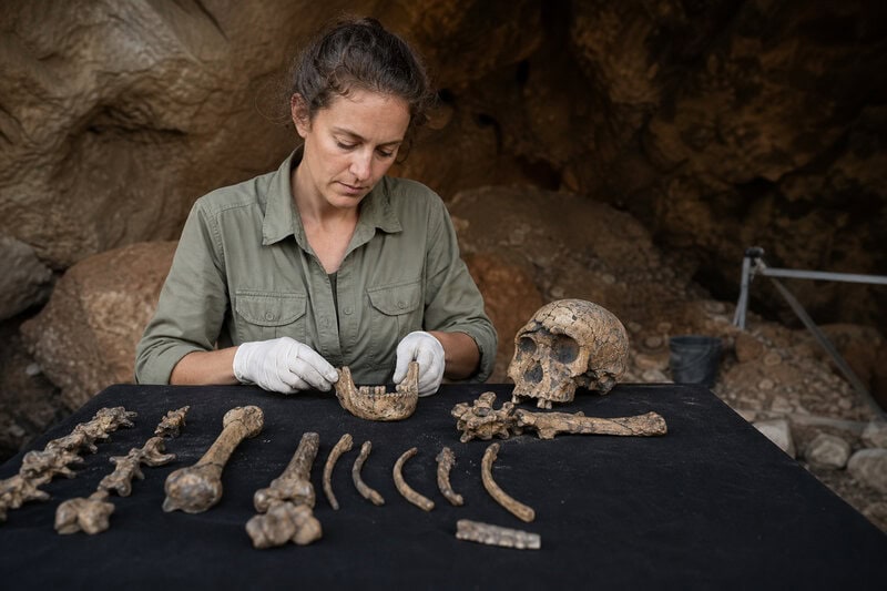9 Surprising Facts About Homo naledi’s Ancient Sex Markers