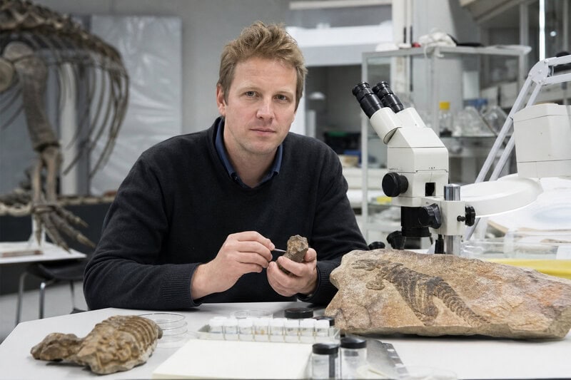 What Did Dinosaurs Really Look Like? Science vs. the Movies