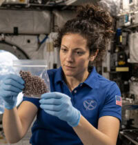 Grape Seeds in Space: How Cosmic Radiation Could Reshape Crop Breeding