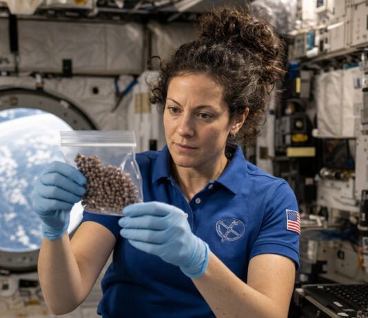 Grape Seeds in Space: How Cosmic Radiation Could Reshape Crop Breeding