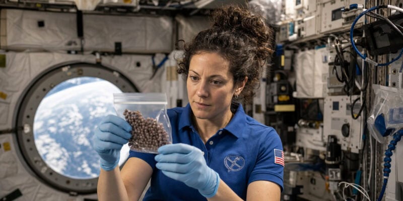 Grape Seeds in Space: How Cosmic Radiation Could Reshape Crop Breeding