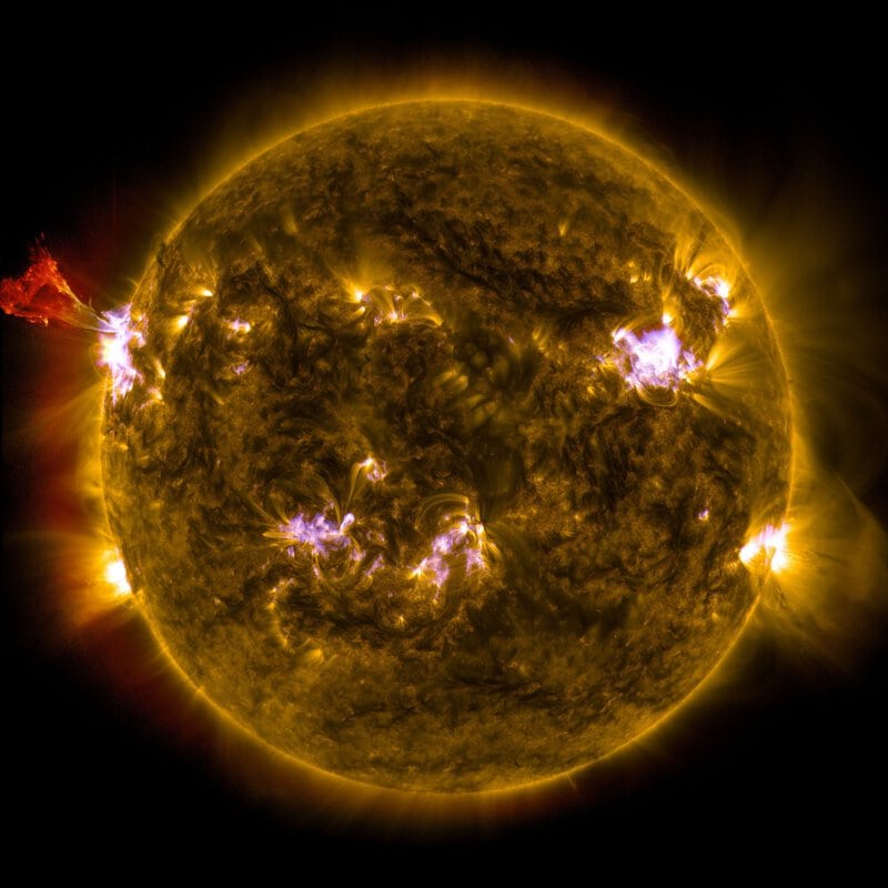 Metasurface Solar Telescope Captures Full Magnetic Maps in One Shot