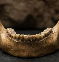 9 Surprising Facts About Homo naledi’s Ancient Sex Markers