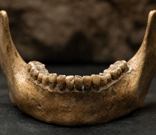 9 Surprising Facts About Homo naledi’s Ancient Sex Markers