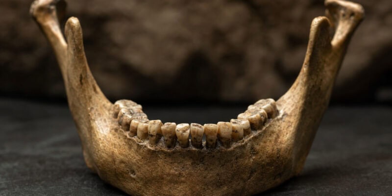 9 Surprising Facts About Homo naledi’s Ancient Sex Markers
