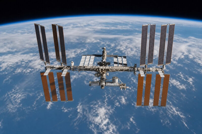 Grape Seeds in Space: How Cosmic Radiation Could Reshape Crop Breeding