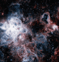 Dark Stars: Webb May Have Found Stars With Black Holes