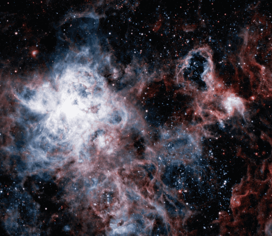 Dark Stars: Webb May Have Found Stars With Black Holes