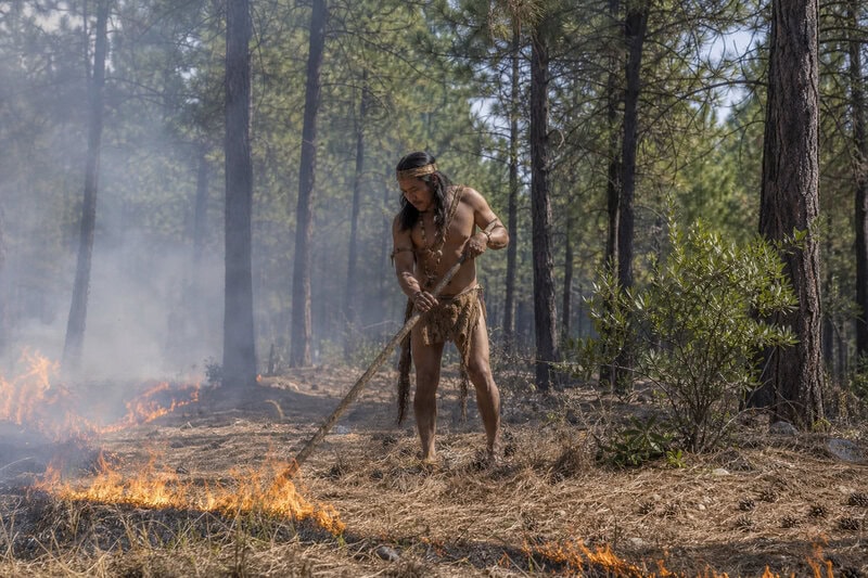 8 Reasons Maidu Cultural Burning Actually Works to Prevent Wildfires