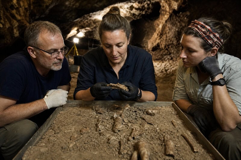 9 Surprising Facts About Homo naledi’s Ancient Sex Markers