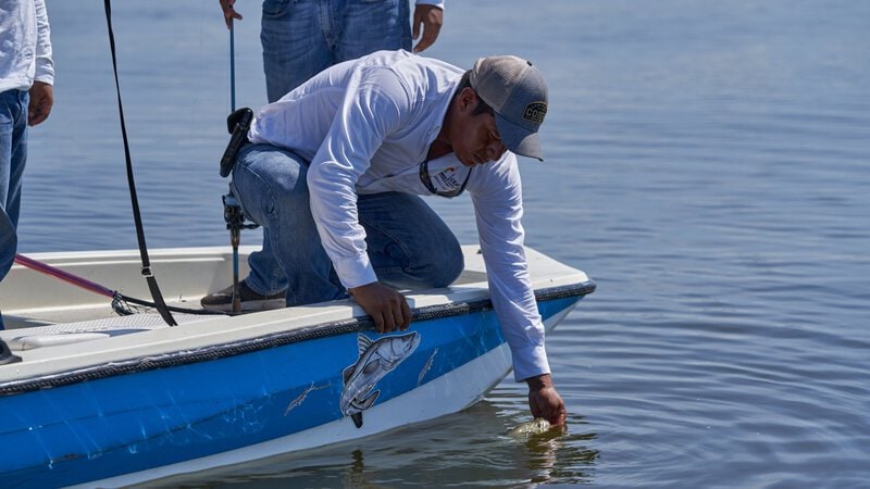 8 Surprising Facts About Roosterfish Research in Baja