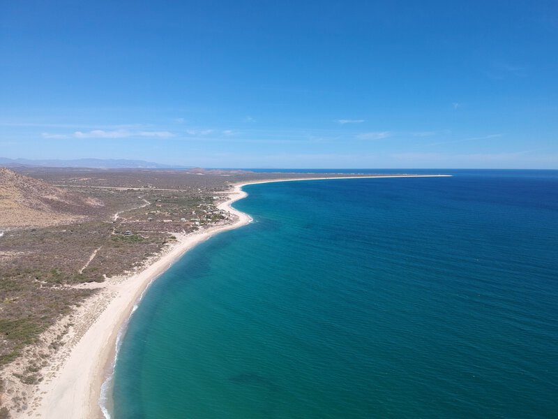 8 Surprising Facts About Roosterfish Research in Baja