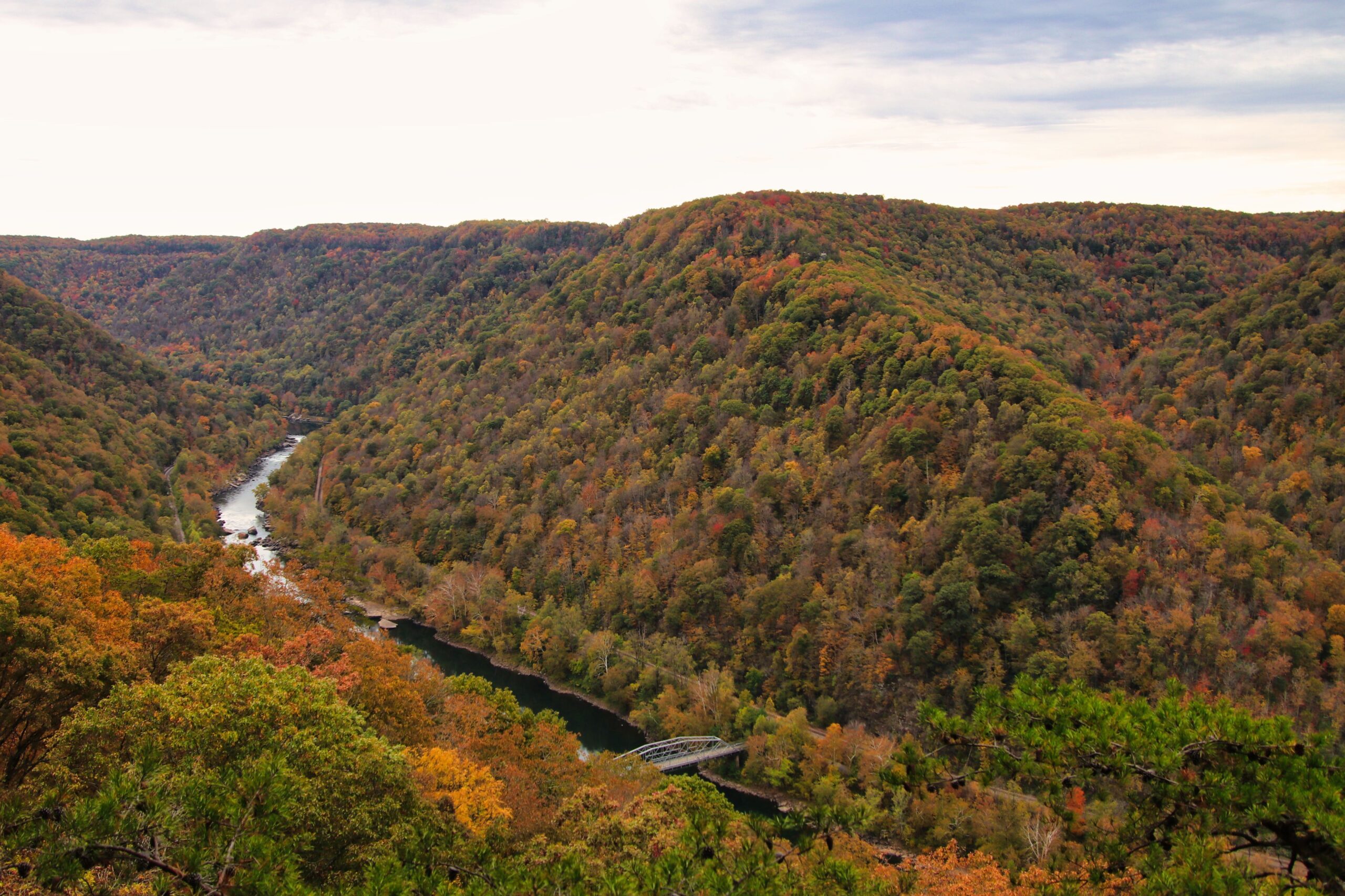 Green Bank Telescope Leads WVU Gravitational Wave Hunt