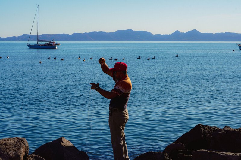 8 Surprising Facts About Roosterfish Research in Baja
