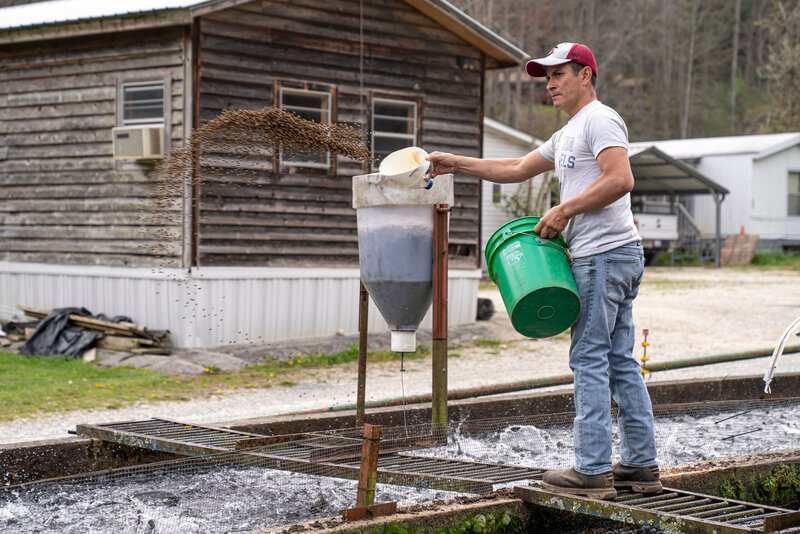 PFAS in Salmon Feed: Hidden Forever Chemicals in Farmed Fish