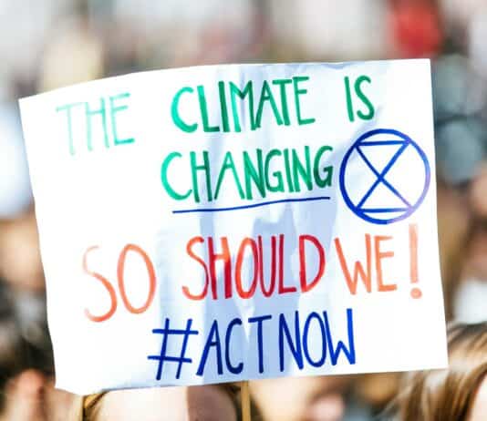 Fossil Fuel Divestment: Does It Actually Cut Carbon?