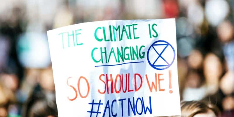 Fossil Fuel Divestment: Does It Actually Cut Carbon?