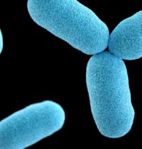 Shigella and Cryptosporidium Share One Weak Spot Scientists Can Target