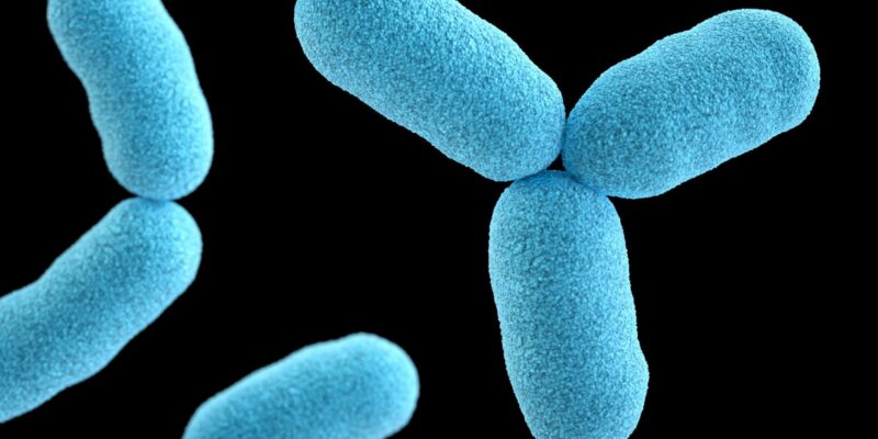 Shigella and Cryptosporidium Share One Weak Spot Scientists Can Target