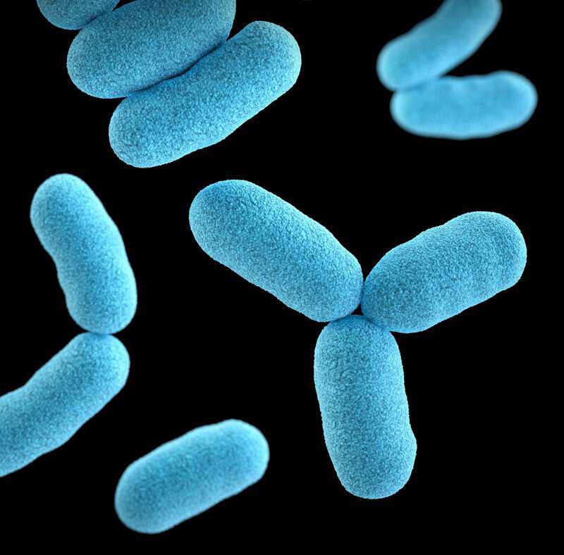Tuberculosis Can Spread Before Symptoms Appear, Study Warns