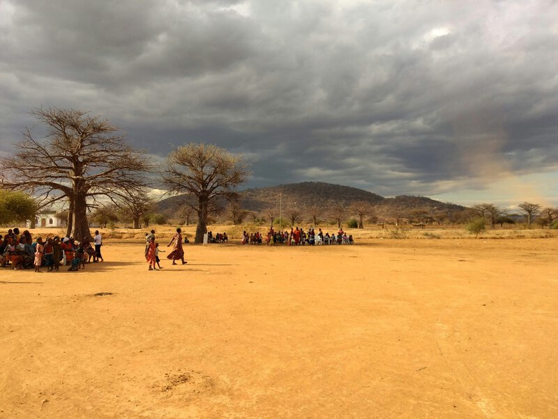 8 Conservation Strategies That Actually Work for Africa’s Wildlife