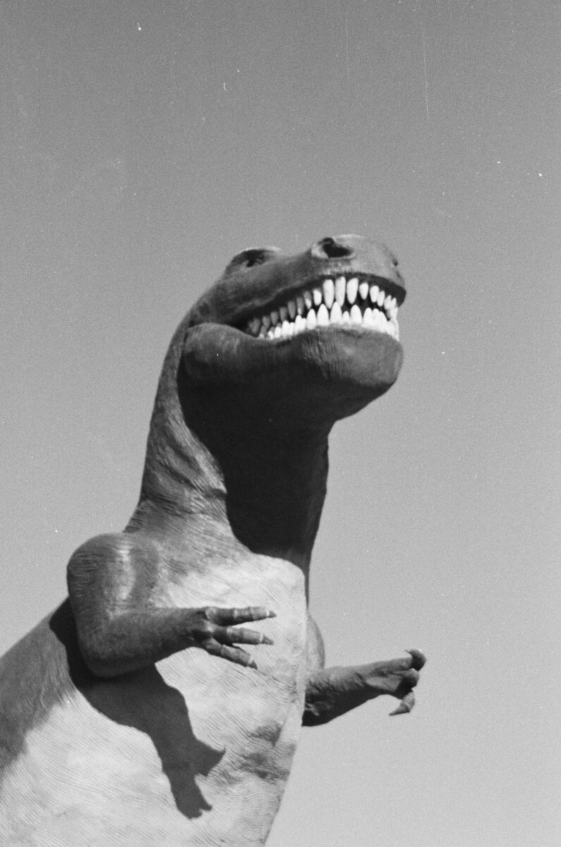 What Did Dinosaurs Really Look Like? Science vs. the Movies