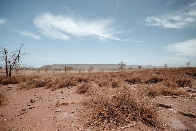 Heat Waves Cause 37% More Wildfire Burn Area, New Study Finds