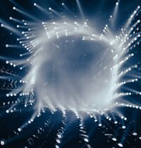 Strange Metal Physics: What Quantum Fisher Information Reveals