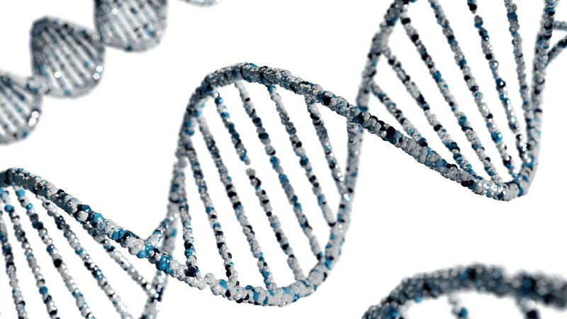 Prostate Cancer and Digestion Share a Genetic Root, Study Finds