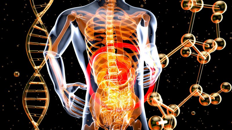 Prostate Cancer and Digestion Share a Genetic Root, Study Finds