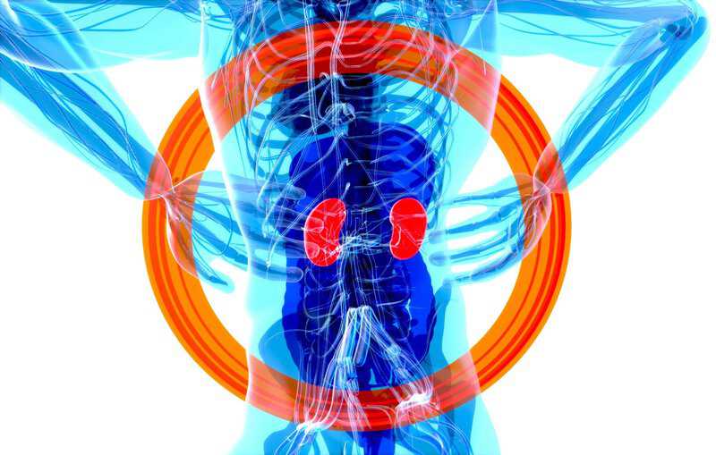 Aldosterone Drives CKD Progression Beyond Blood Pressure