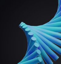 Prostate Cancer and Digestion Share a Genetic Root, Study Finds