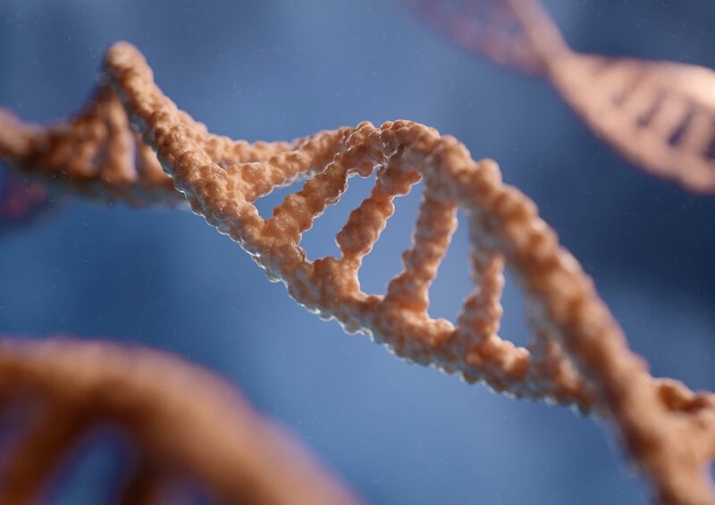 Ancient DNA From Medieval Sicily Reveals 1,000 Years of Genetic Diversity