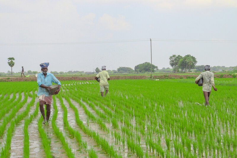 Monsoon Climate Change Creates Deadly Heat-Rain Double Threat, Study Warns