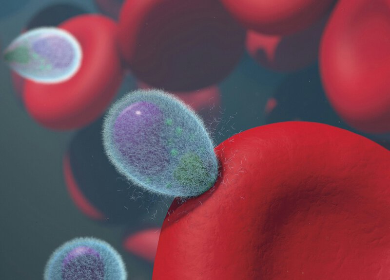 9 Surprising Facts About the Cancer and Alzheimer’s Link