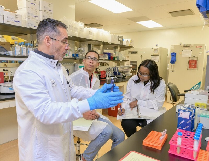 Early Career Scientist Wins National Fellowship to Fight Heart Disease
