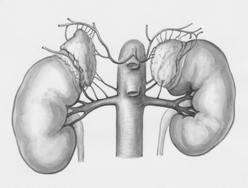 Prostate Cancer and Digestion Share a Genetic Root, Study Finds